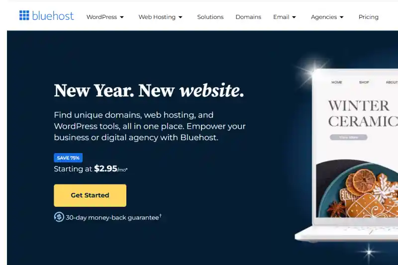 bluehost-the-best-web-hosting-for-small-businesses