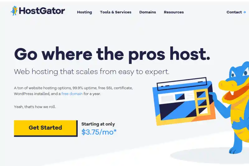 hostgator-the-best-web-hosting-for-small-businesses