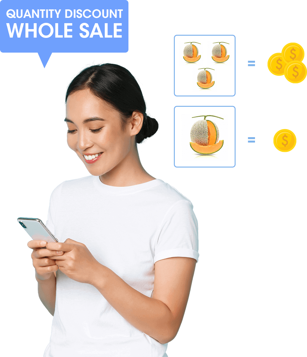 Wholesale Price, Wholesale Price Installation by Agent, Distributor Personalize Groups of Shoppers on the Website.