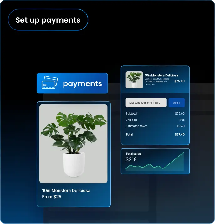 Sample interface for checkout and payment